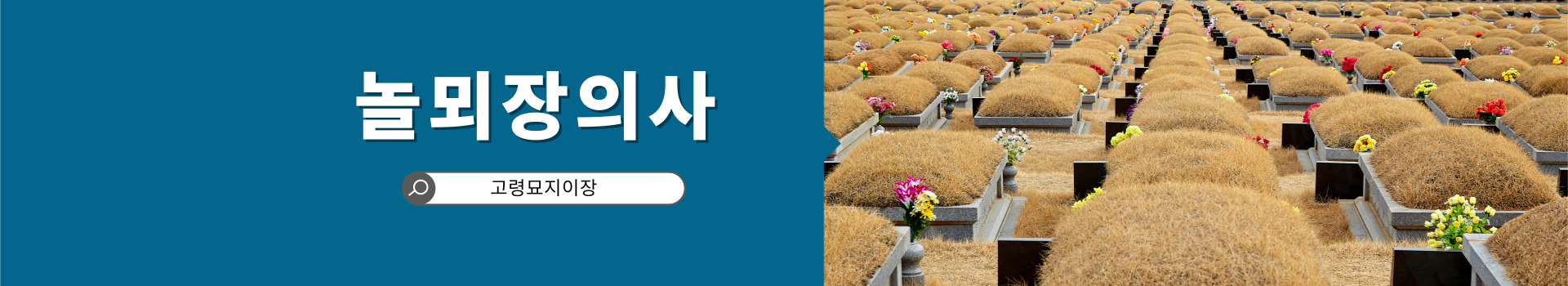 놀뫼장의사 PC 비주얼 0